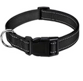 PetoTag Halsband