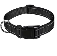 PetoTag Halsband